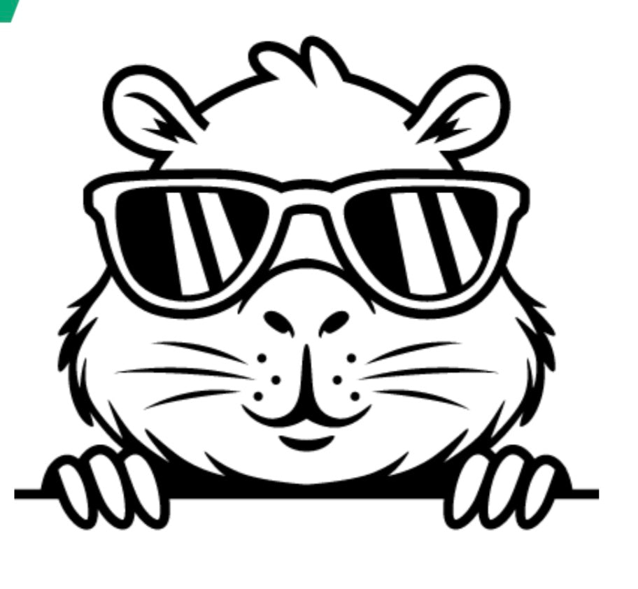 MINI CANVAS MET NAAM/AFBEELDING